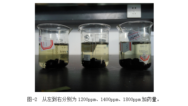 圖-2  從左到右分別為1200ppm、1400ppm、1800ppm加藥量